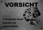 Preview: Edelstahl Warnschild Dänische Dogge VORSICHT Freilaufender Hund! Betreten auf eigene Gefahr!