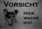 Preview: Edelstahl Warnschild Kurzhaarcollie VORSICHT Hier wache ich!