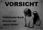 Preview: Edelstahl Warnschild Tibet Terrier VORSICHT Freilaufender Hund! Betreten auf eigene Gefahr!