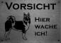 Preview: Edelstahl Hundechild American Akita VORSICHT Freilaufender Hund! Betreten auf eigene Gefahr!