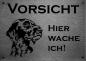 Preview: Edelstahl Warnschild Deutsch DrahthaarVORSICHT Hier wache ich!