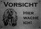 Preview: Edelstahl Warnschild Afghanischer Windhund VORSICHT Freilaufender Hund! Betreten auf eigene Gefahr!