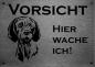 Preview: Edelstahl Warnschild Wirehaired Vizsla VORSICHT Hier wache ich!