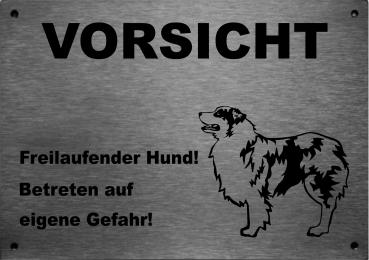 Edelstahl Hundeschid Australian Shepherd VORSICHT Freilaufender Hund! Betreten auf eigene Gefahr!