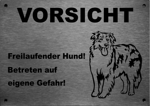 Edelstahl Warnschild Australian Shepherd VORSICHT Freilaufender Hund! Betreten auf eigene Gefahr!